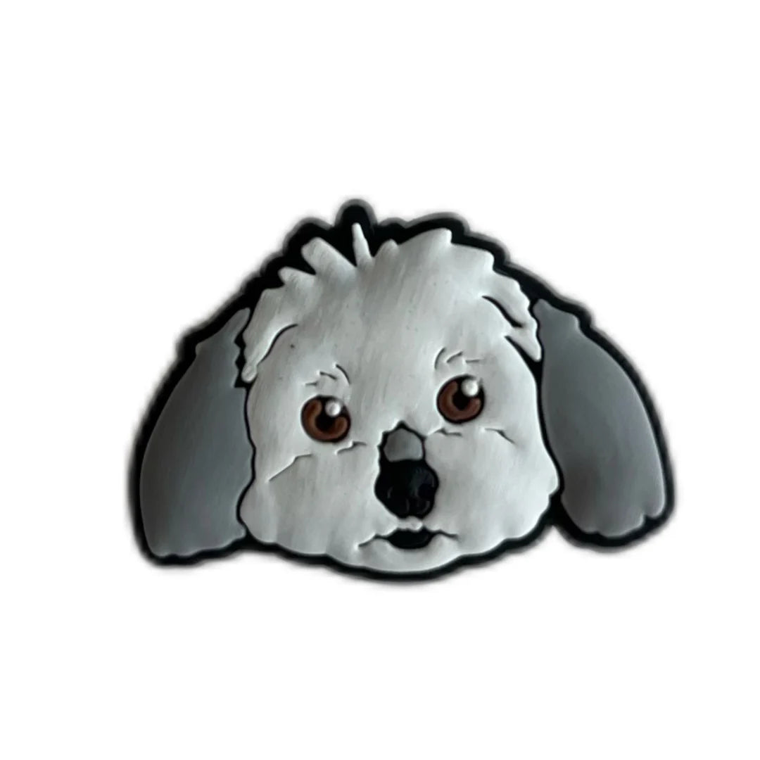 Shi Tzu