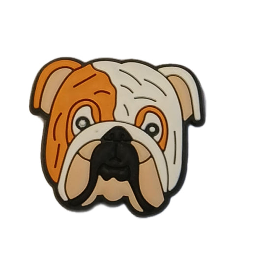 Bulldog Anglais portrait