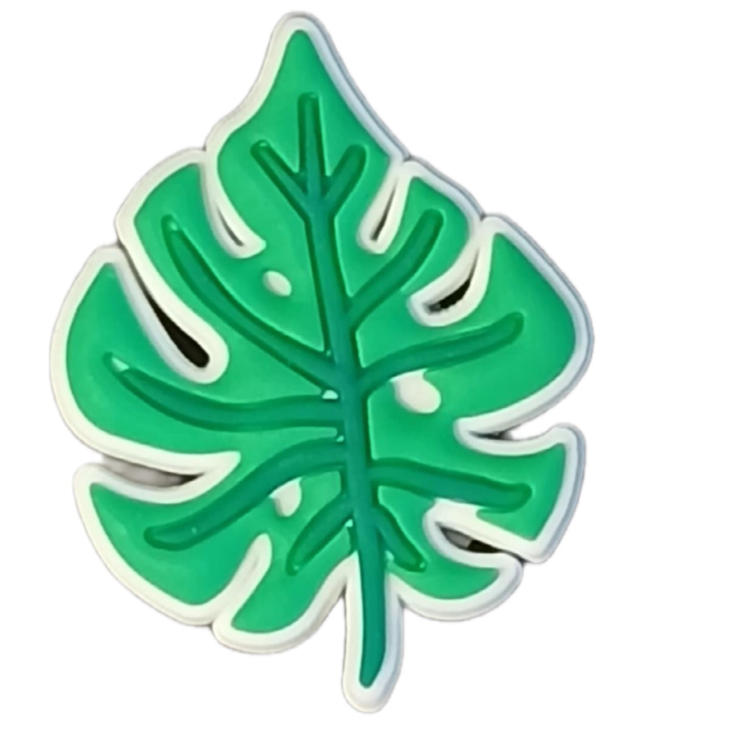 Feuille monstera