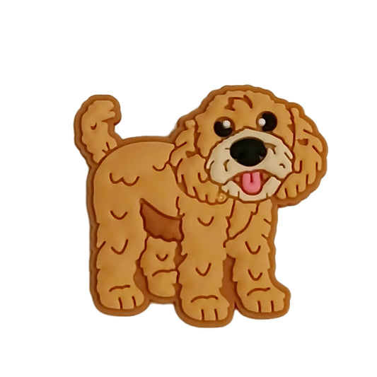 Labradoodle