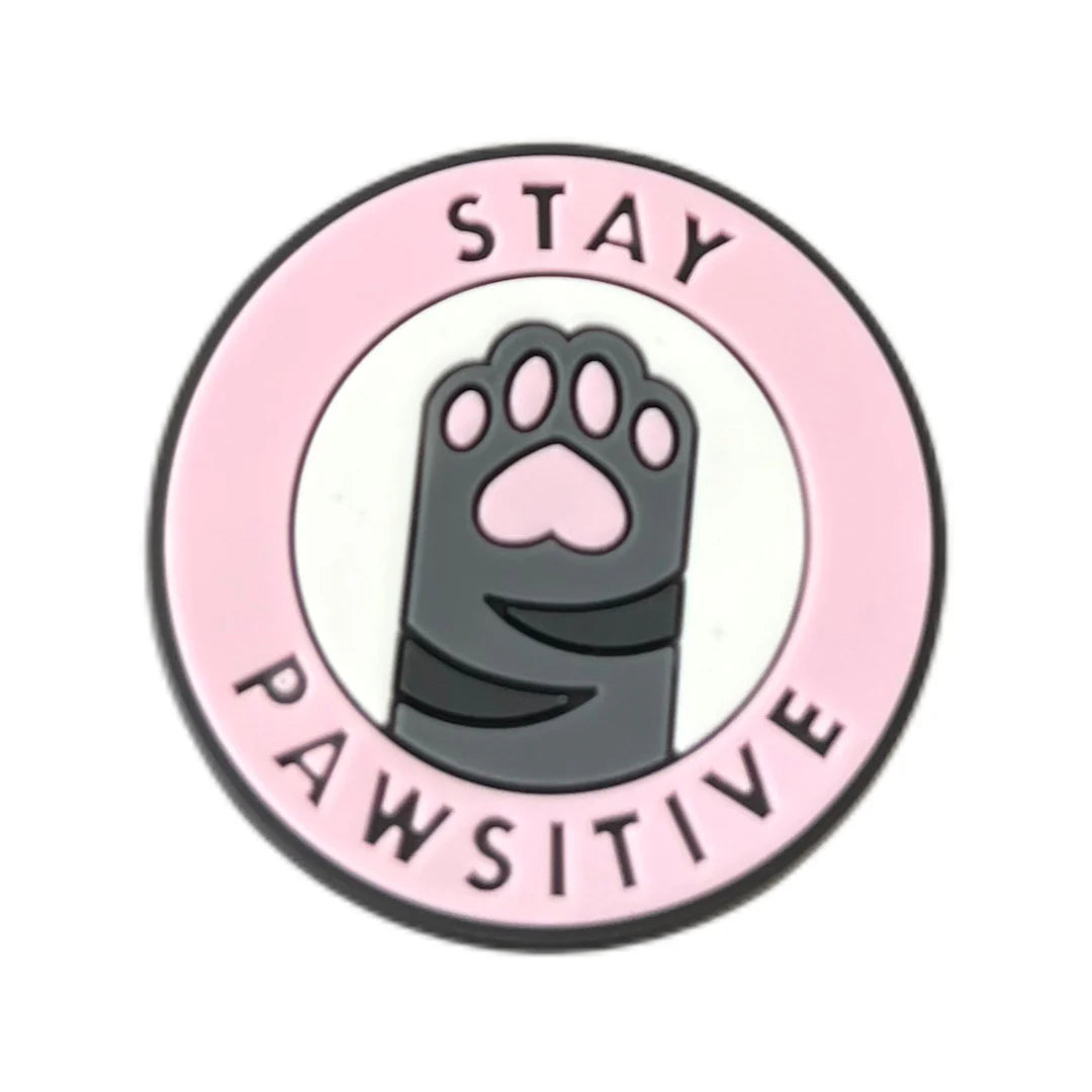 Stay pawsitive / patte chat